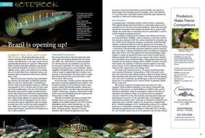 Aquatic Notebook: Stephan M. Tanner, Ph.D., and Dr. Leandro Melo de Sousa discuss the impact of Brazil's revised aquarium fish export law and how it may impact the future of Brazil's aquarium trade. What changes will aquarists see? Find out, in "Brazil is Opening Up."