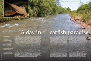 We could all use an escape to spend a day in Catfish Paradise. Hans-Georg Evers will get you there in his latest installment of Notes From The Field.