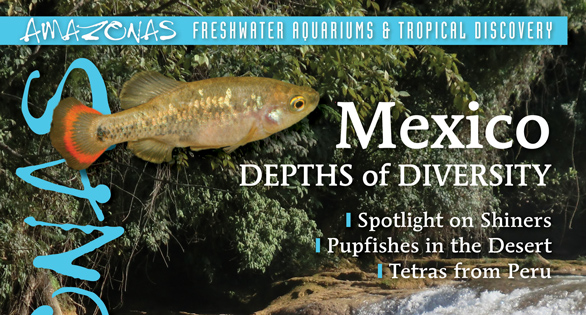 AMAZONAS Magazine Table of Contents September/October 2020