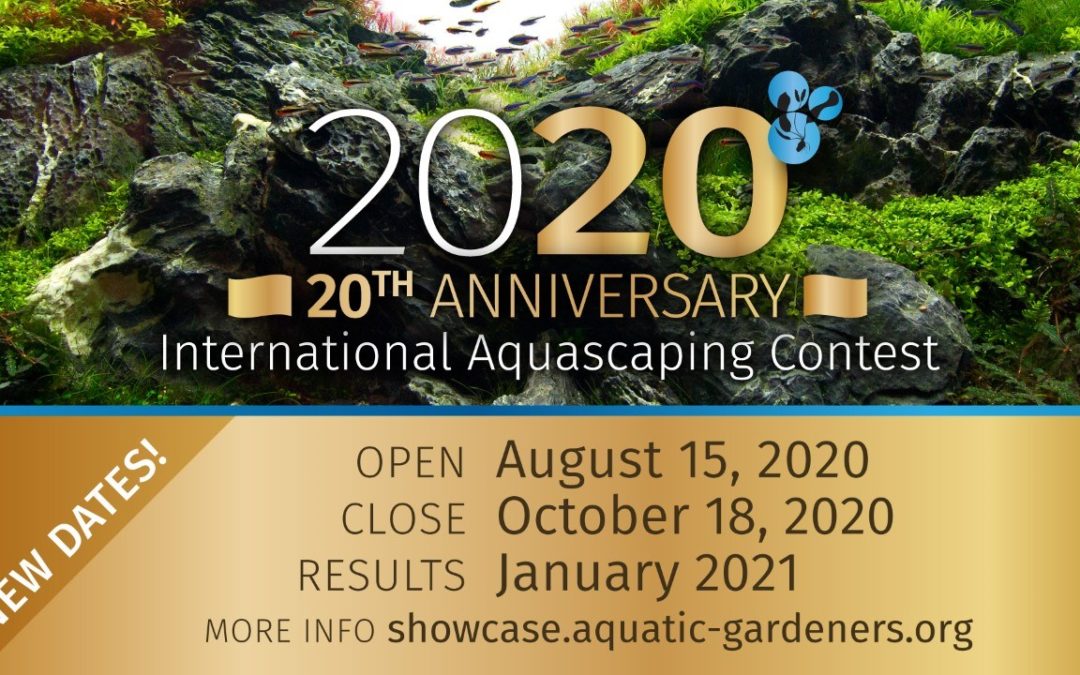 Announcing the 2020 AGA International Aquascaping Contest