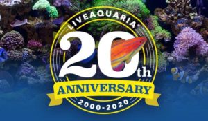 Celebrating its 20th anniversary during July, 2020, LiveAquaria is about to enter an new chapter as parent company Petco announces a transition to new ownership for the aquarium livestock company.