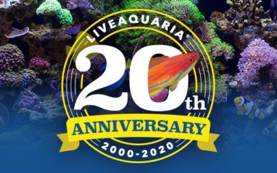 Confirmed: Petco to Sell LiveAquaria to Third Party