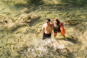 Swim with the fishes! Tourists in a river at Bonito, Mato Grosso do Sul, Brazil, are surrounded by a shoal of Piraputanga fishes, Brycon hilarii. Image credit: Vinicius Bacarin/Shutterstock