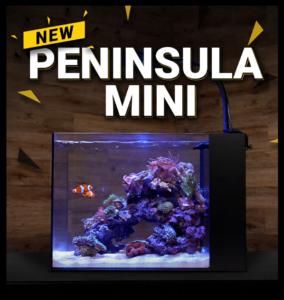 Waterbox Aquariums introduces the Peninsula Mini all-in-one aquariums for freshwater and saltwater applications.