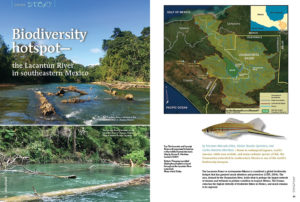 Home to endangered jaguars, scarlet macaws, white nun orchids, and many endemic species of fi sh, the Usumacinta watershed in southeastern Mexico is one of the world’s biodiversity hotspots.