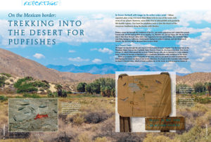 Roman Burkardt travels to the Mexican border, trekking into the desert for pupfish; some fishes live in inhospitable and genuinely life-hostile regions.