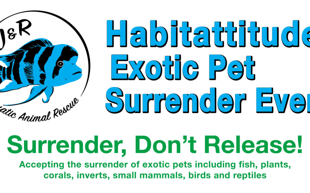 Surrender, Don’t Release: JRAAR Events Aim to Help Exotic Pet Owners
