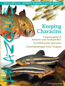 AMAZONAS Magazine, Volume 9, Number 6, KEEPING CHARACINS, on sale October 6th, 2020! On the cover: Lemon tetras (Hyphessobrycon pulchripinnis) top, spotted silver dollar (Metynnis maculatus) middle, and lipstick leporinus (Leporinus arcus) bottom. Photos by Horvath82/ Shutterstock (top), and Ernst Sosna (middle, bottom)