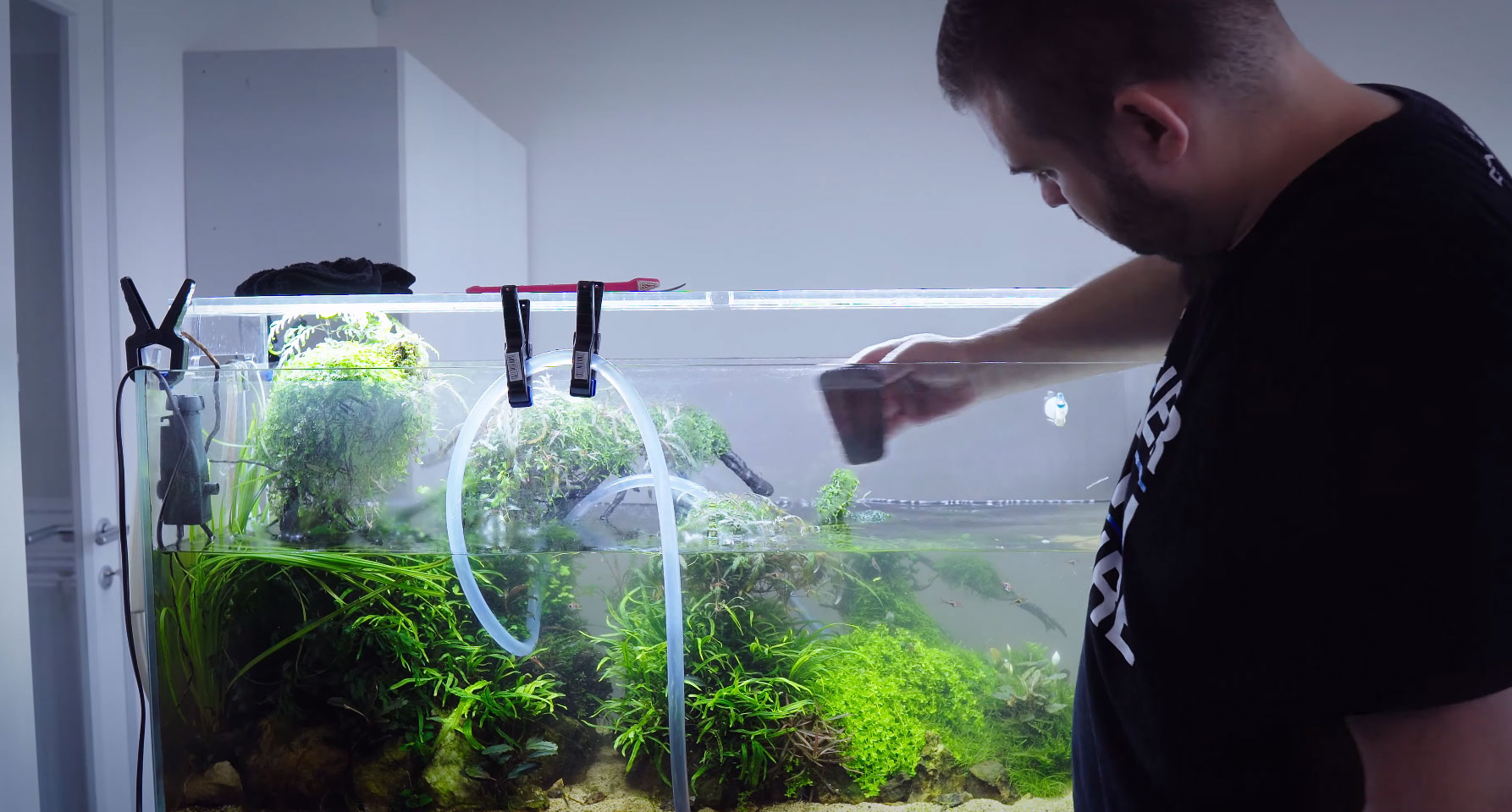 A Cinematic Celebration of Aquarium Maintenance - AS Magazine