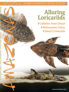 Read more in the January/February 2021 issue of AMAZONAS Magazine.