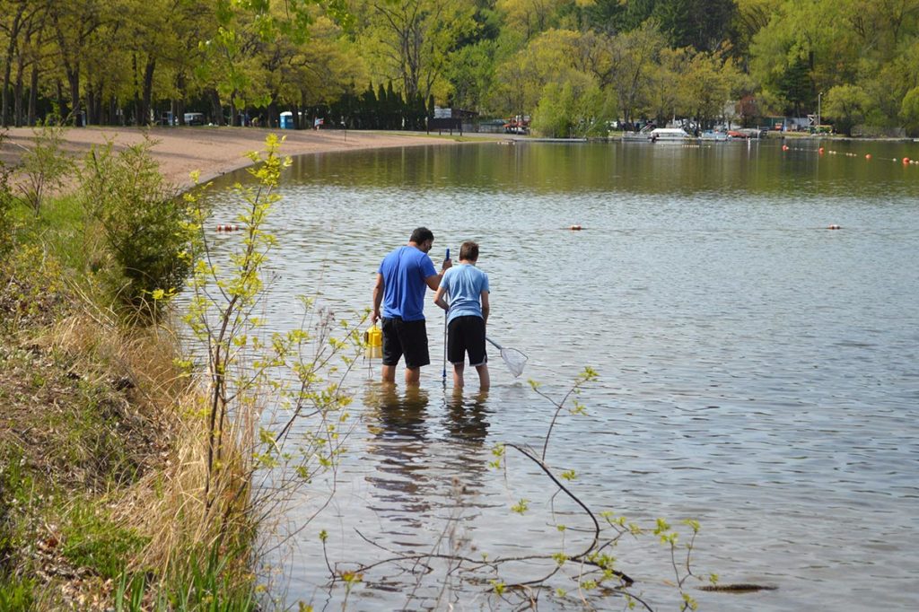 Some aquarists used handheld dip-nets to catch small fishes (as shown above); others worked in 3-person teams with seines to trap fish along the shore of Square Lake.