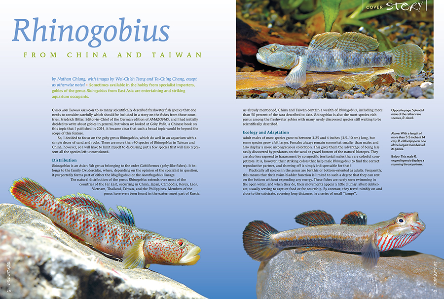 AMAZONAS Magazine “GUDGEONS & GOBIES” Inside Look!