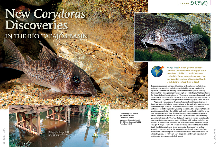 AMAZONAS Magazine “KEEN ON CORYS” Inside Look!