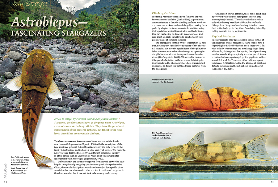 AMAZONAS Magazine “STELLAR STARGAZERS” Inside Look!