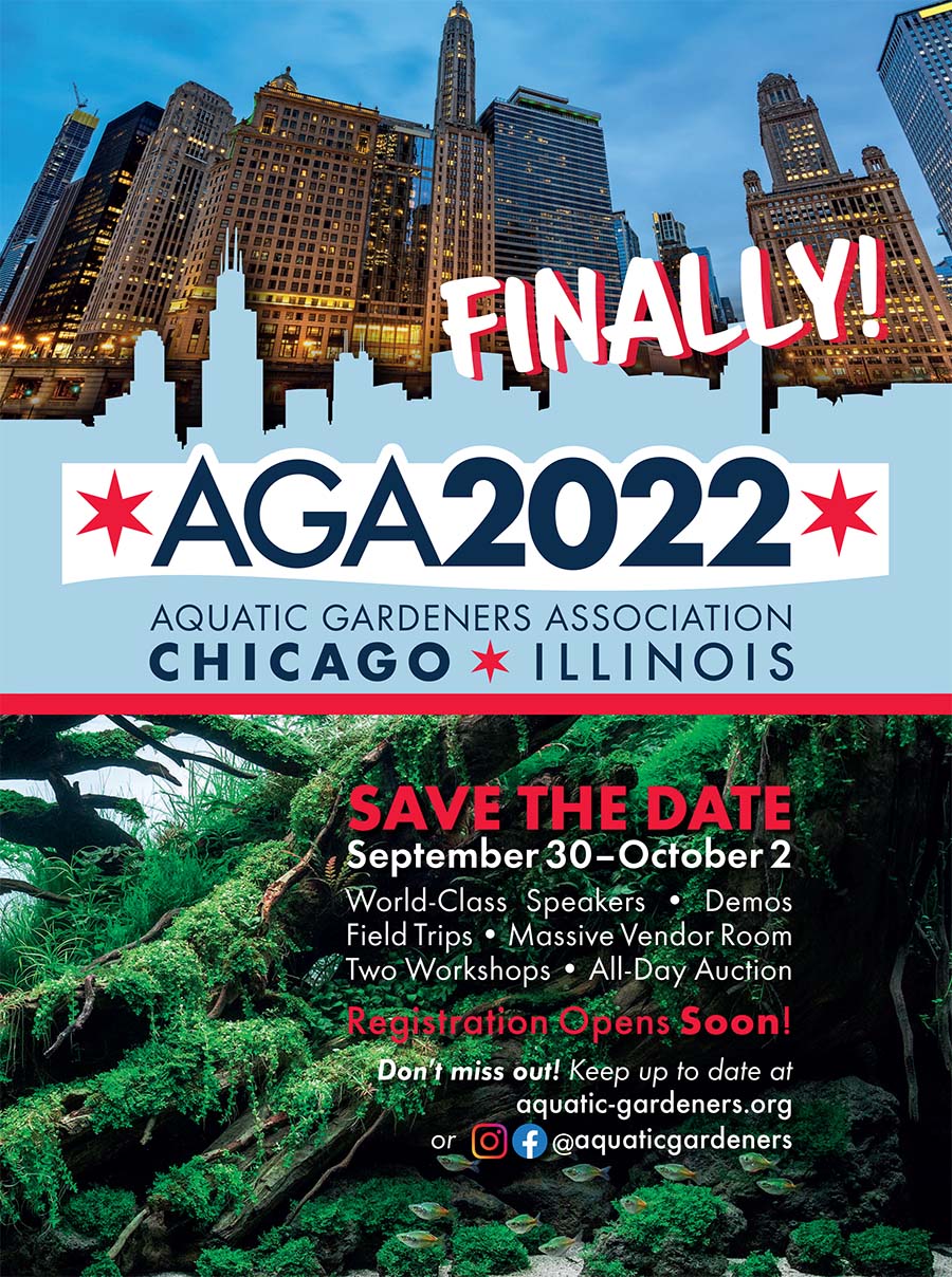 Chicago To Host 2022 Aquatic Gardeners