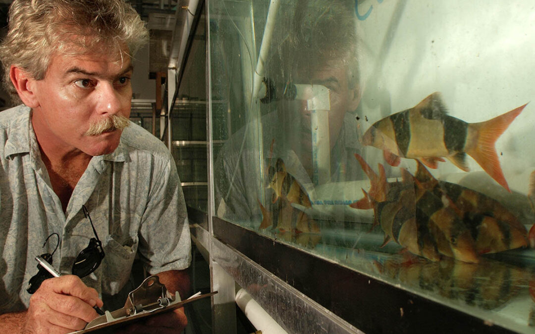 Florida Tropical Fish Farms Generate $172 Million For Florida Economy in 2021