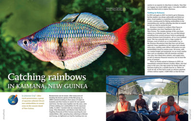 AMAZONAS Magazine “RAINBOWFISHES” Inside Look!