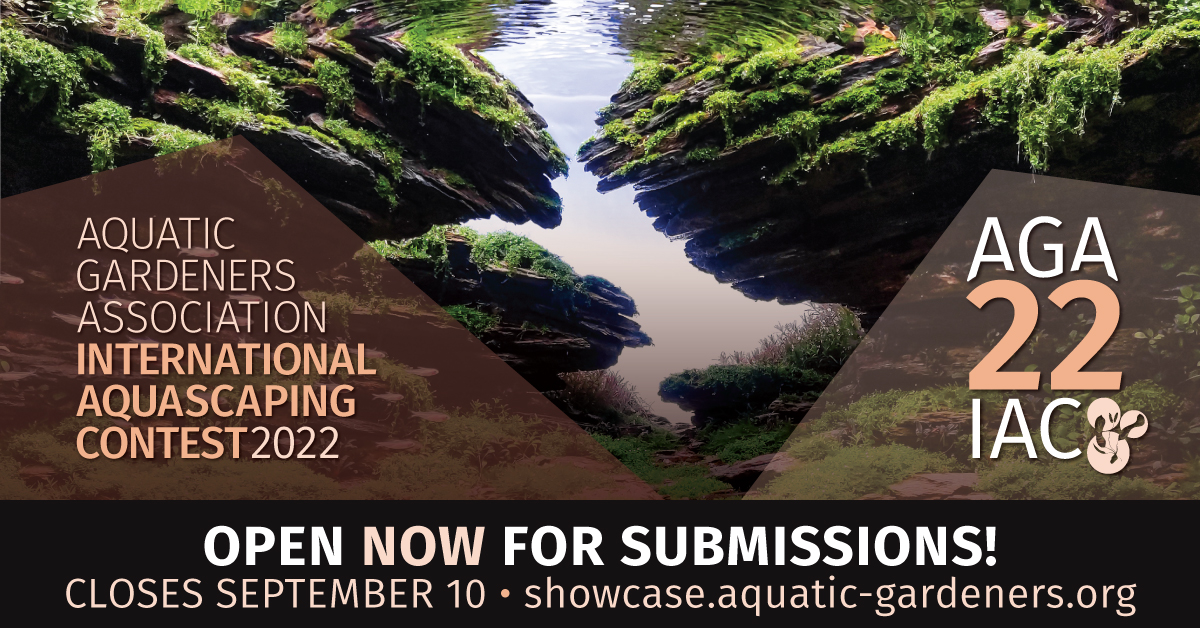 Aga 2022 International Aquascaping