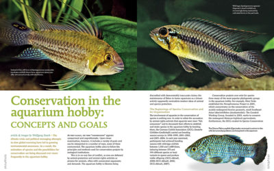 AMAZONAS Magazine “CONSERVATION & AQUARIUMS” Inside Look!