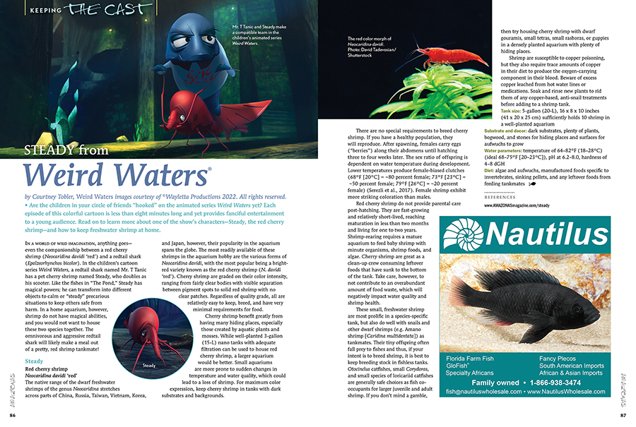 Steady from Weird Waters, by Courtney Tobler. AMAZONAS Magazine, September/October 2022