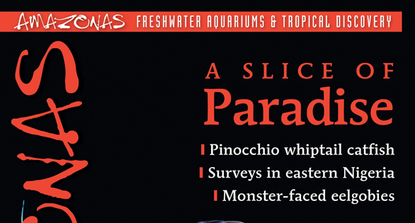 AMAZONAS Magazine Table of Contents November/December 2022