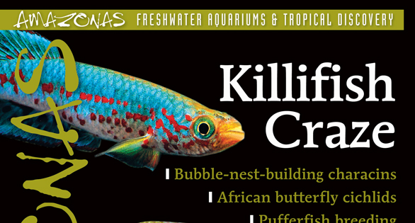 AMAZONAS Magazine Table of Contents January/February 2023