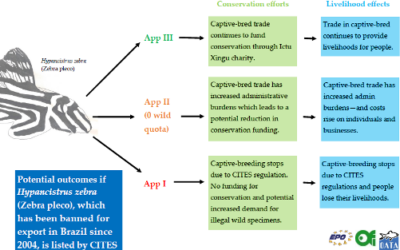 OATA Joins Fellow Pet Trade Associations at CITES CoP19