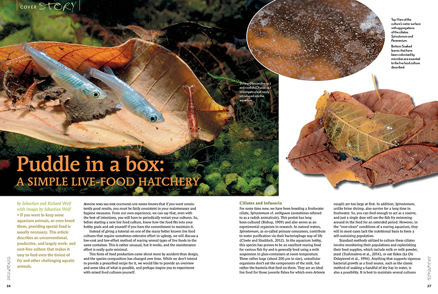 AMAZONAS Magazine “BON APPÉTIT” Inside Look