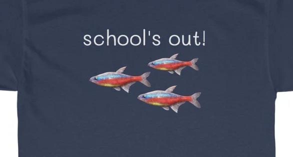 Wild Fish Tanks: T-Shirt Weather Is Here!