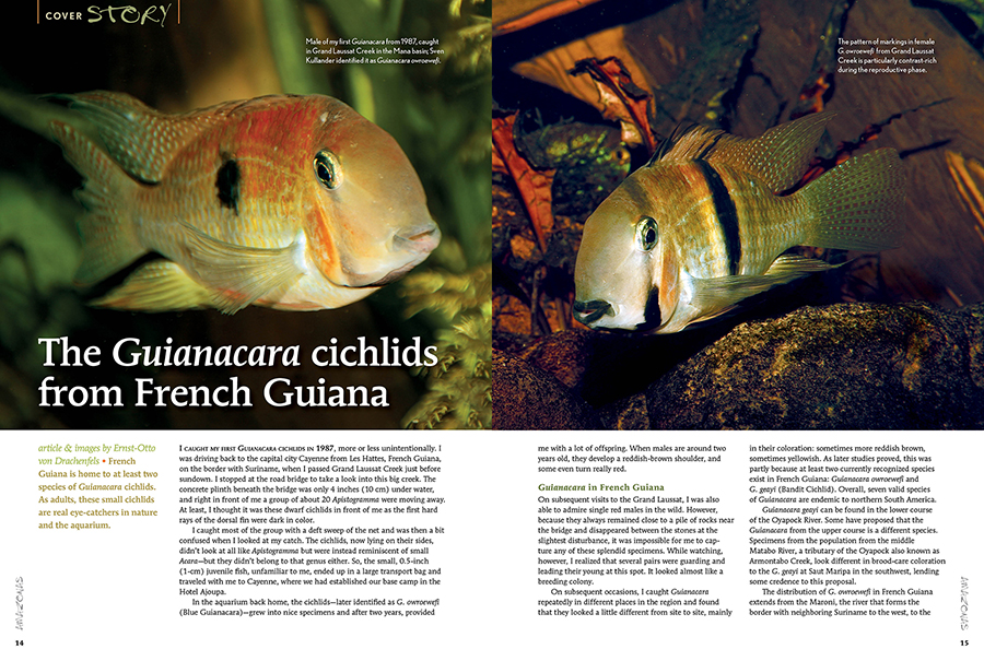 AMAZONAS Magazine “FISHES OF FRENCH GUIANA” Inside Look