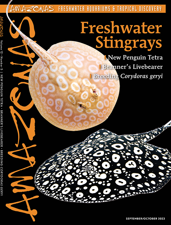 Click cover to order this back issue for your AMAZONAS collection.