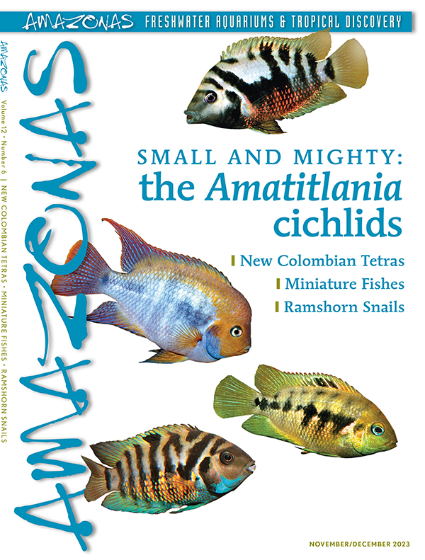 Click cover to order this back issue for your AMAZONAS collection.