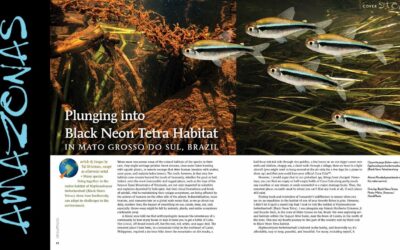 VIDEO Inside Look: AMAZONAS Magazine “EXPEDITION FISH”