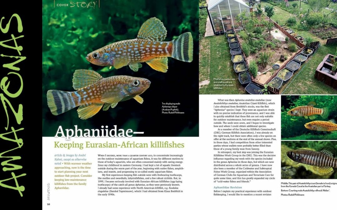 VIDEO Inside Look: AMAZONAS Magazine “TANK TO TERRACE”
