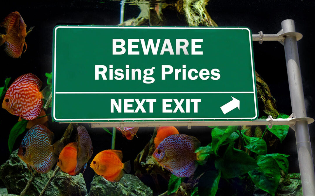 New U.S. Import Tariffs on Fishes and Corals