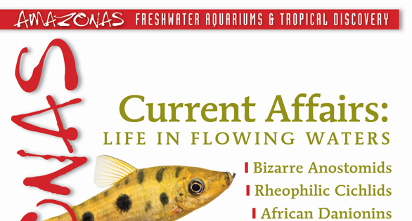 AMAZONAS Magazine Table of Contents July/August 2025