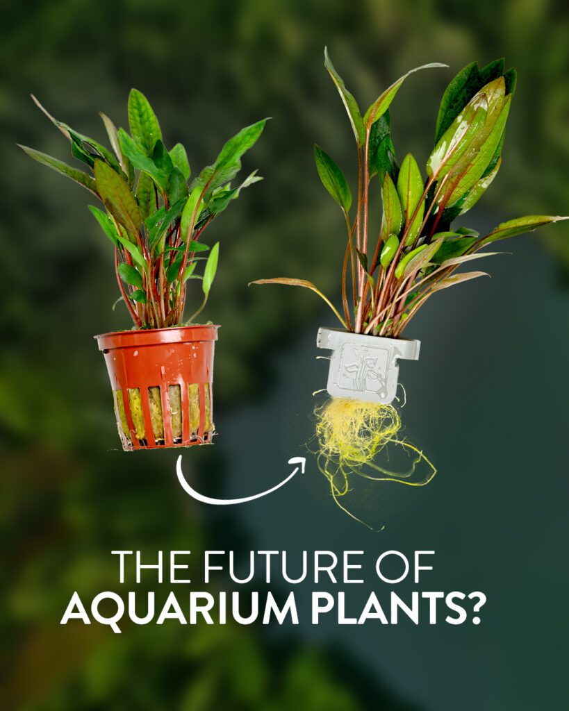 Tropica asks: The Future of Aquarium Plants?