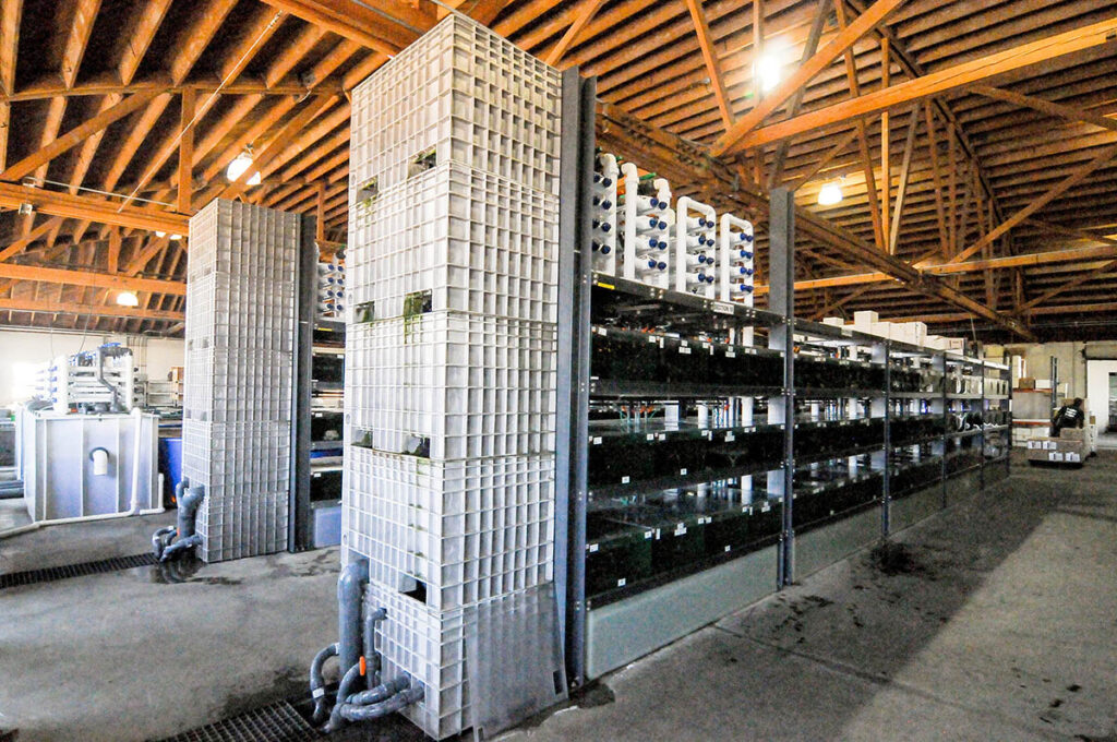 Inside the facilities at Aquatropic.