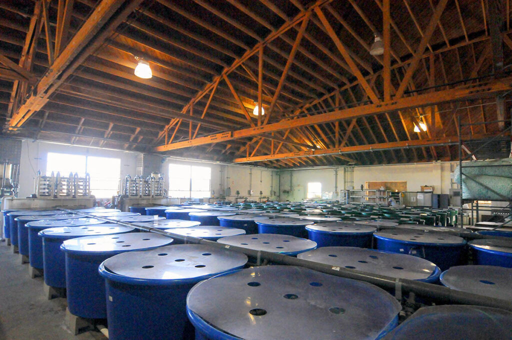 Aquatropic facilities, part of the overall Quality Marine company recognized for its commitment to animal welfare within the aquarium trade.