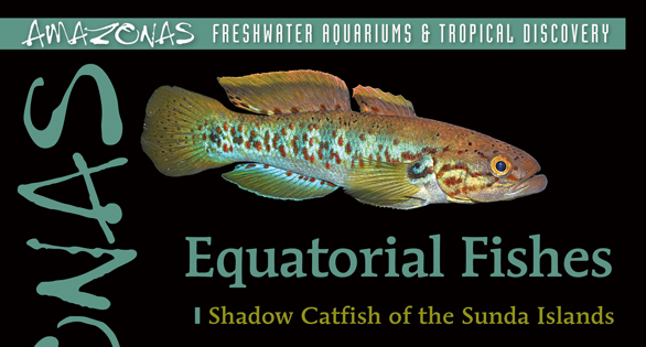 AMAZONAS Magazine Table of Contents January/February 2025