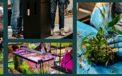 Sacramento, California to Host 2026 Aquatic Gardeners Association (AGA) Convention