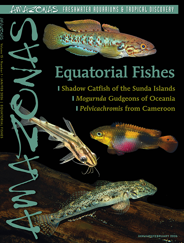 EQUATORIAL FISHES
VOLUME 15, NUMBER 1