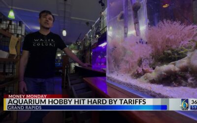 VIDEO: State of the Aquarium Hobby: Water Colors Aquarium Gallery on WLNS-TV CBS News