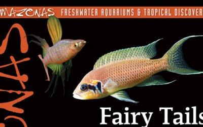 AMAZONAS Magazine Table of Contents May/June 2026