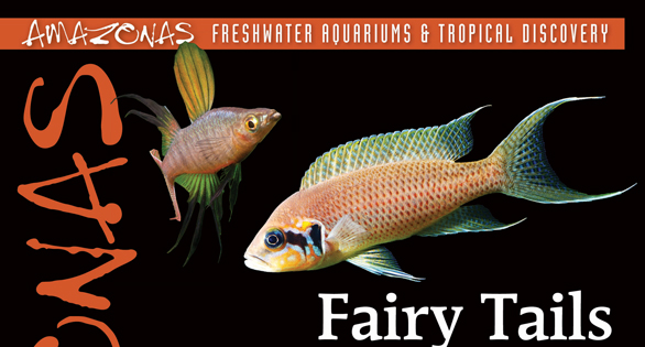 AMAZONAS Magazine Table of Contents May/June 2026