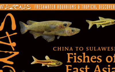 AMAZONAS Magazine Table of Contents September/October 2026