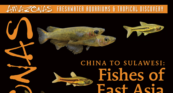AMAZONAS Magazine Table of Contents September/October 2026