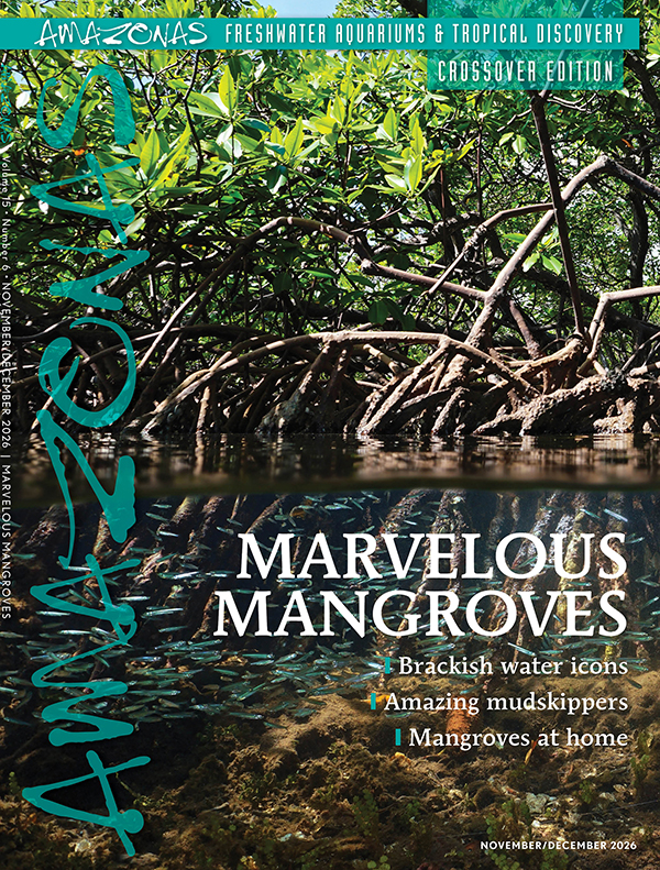 1_C1andSpine_A15.6 Click cover to order this back issue for your AMAZONAS collection.