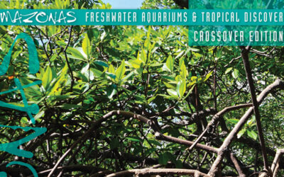 AMAZONAS Magazine Table of Contents November/December 2026