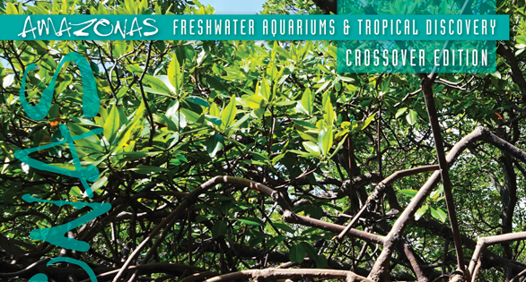 AMAZONAS Magazine Table of Contents November/December 2026